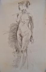A.B. Standing Nude - click here to see an enlargement
